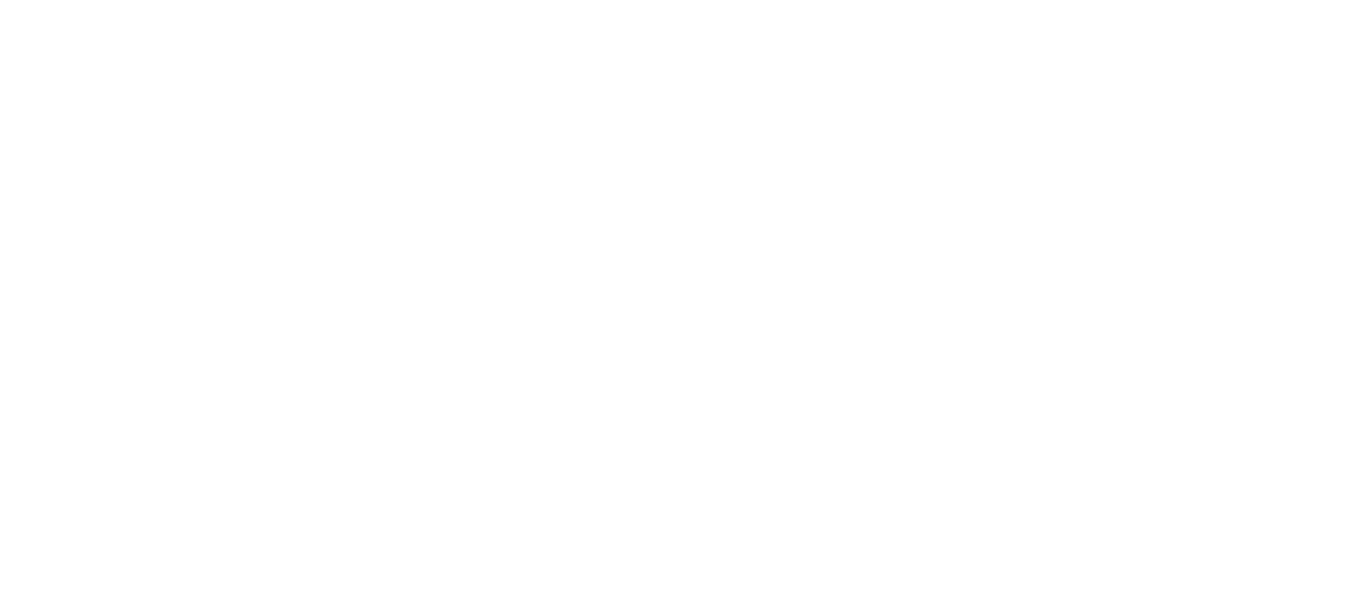 Northern Districts Cricket Foundation Logo